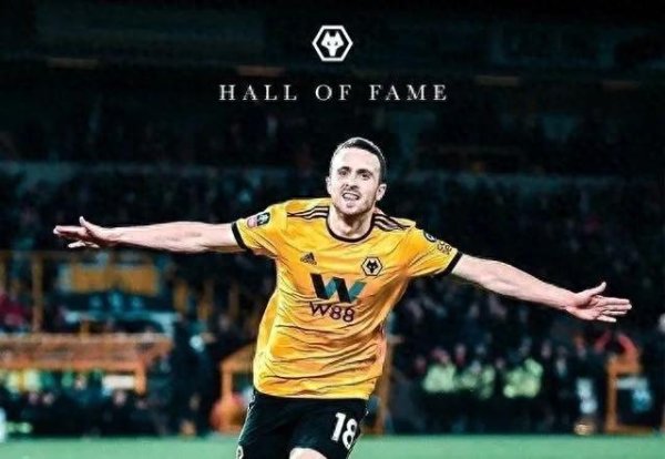 Premier League Wolves chính 